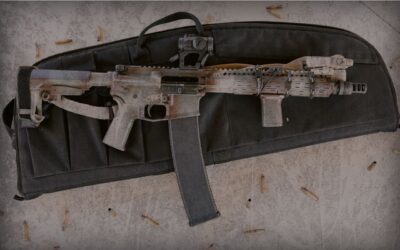 Answering the Common Questions About the AR-15 Rifle